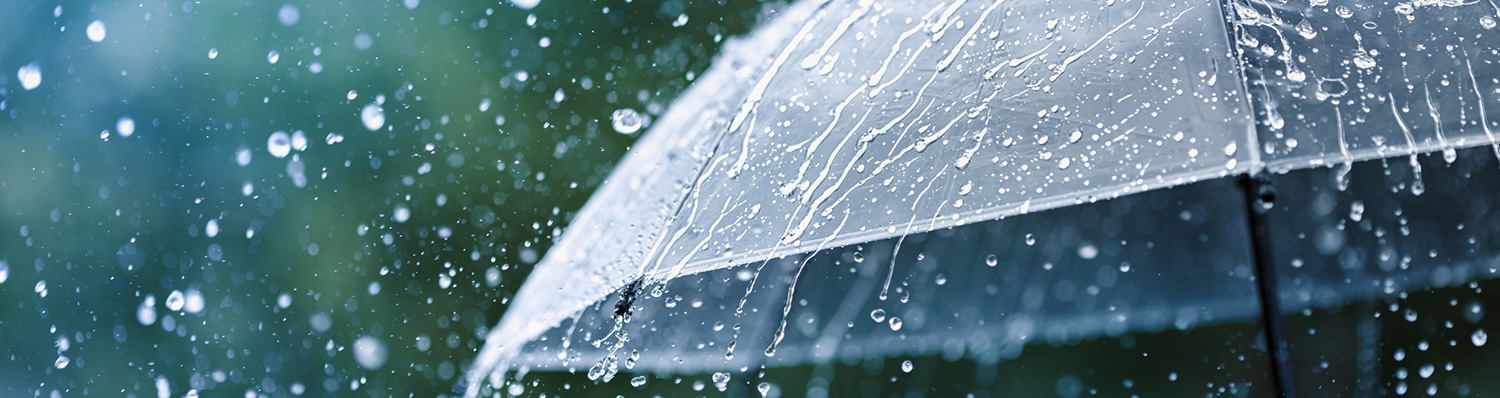 Kansas Umbrella Insurance Coverage